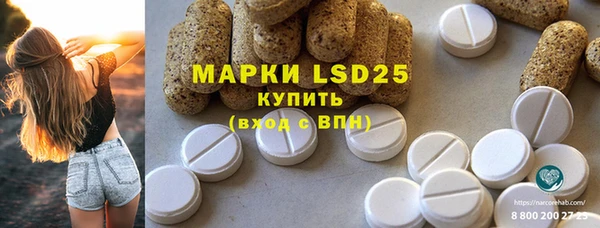 гидра Верхний Тагил