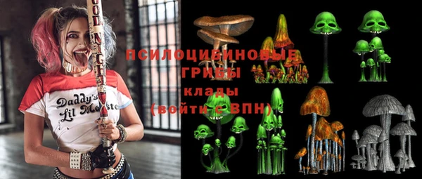 гидра Верхний Тагил