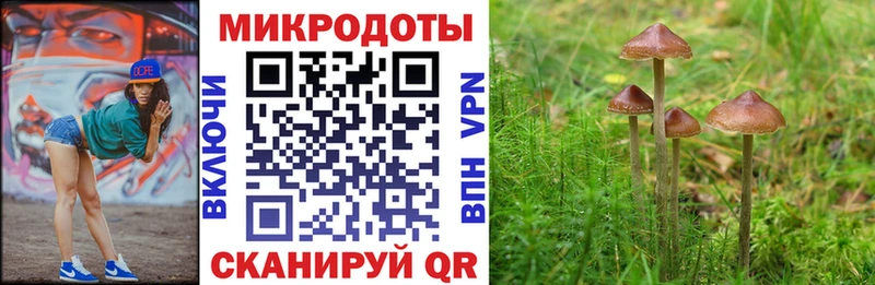 Псилоцибиновые грибы мицелий  Каменка 